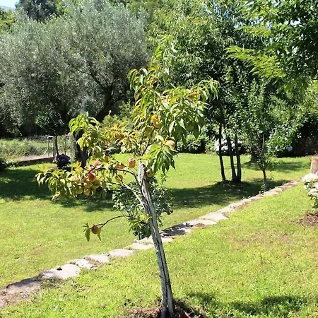 Casa Da Benda *