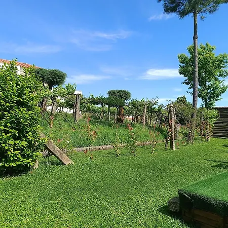 Casa Da Benda 別荘 Estoraos (Viana do Castelo)